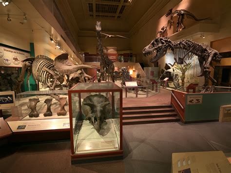 National Museum Of Natural Historys Dinosaur And Fossil Hall Closure