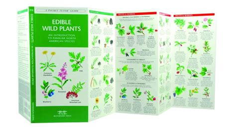 The Complete Guide To Edible Wild Plants Pdf Free Download Book