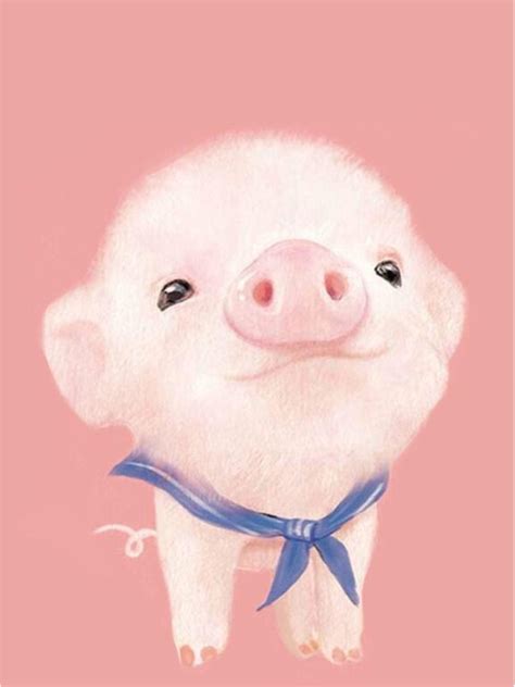 Kawaii Cute Pigs Wallpapers Top Free Kawaii Cute Pigs Backgrounds