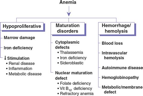 Anemias Basicmedical Key