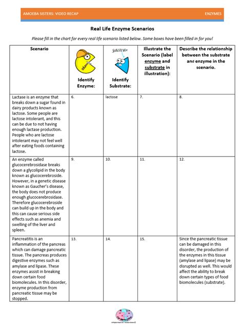 Looking for a list of our biology topic videos? Amoeba Sisters Enzymes Worksheet Key | Free Printables ...