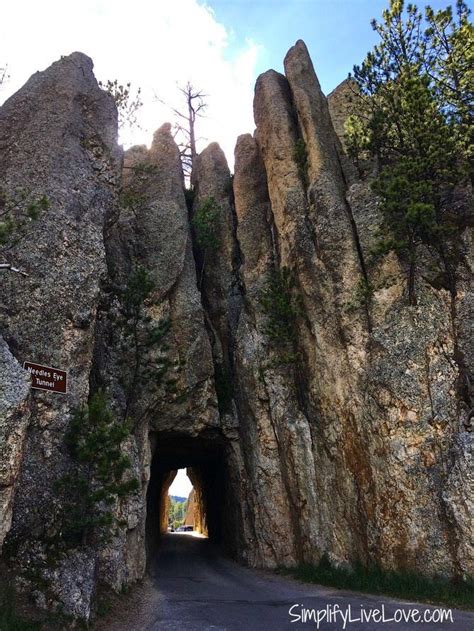 Two Amazing Drives To Take At Custer State Park South Dakota South