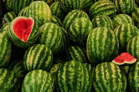 World S Best Water Melons Tumblr Fruit Fruit Recipes Healthy Recipes