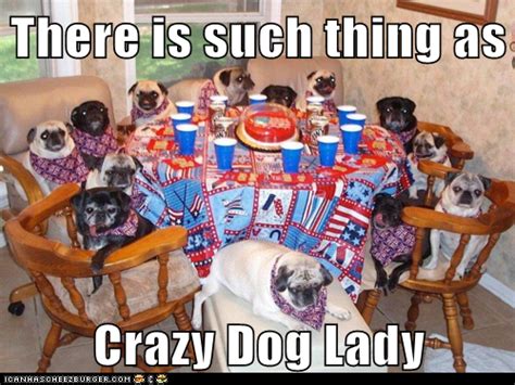 There Is Such Thing As Crazy Dog Lady Crazy Dog Lady Dog Lady And