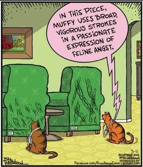 Pin By Kevin Casto On Art Humor Funny Cat Pictures Cat Comics Funny