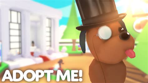 Rarest Pets In Roblox Adopt Me Pro Game Guides
