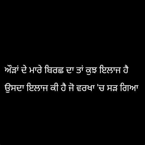 Pin by jagvir on In Punjabi | Words quotes, Quotations, Punjabi quotes
