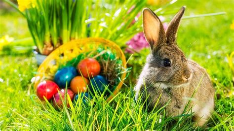 Warum Feiern Wir Ostern Und Wann Sind Ostern 2023 Blick