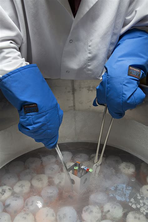 Remember, a single copy of the human genome is 3 billion, 200. Cryoconservation of animal genetic resources - Wikipedia