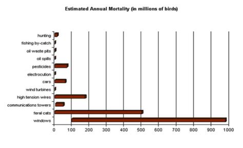 Bird Mortality Biogrounds