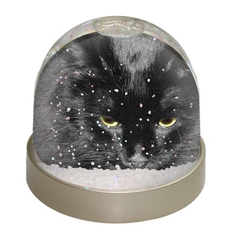 Gorgeous Black Cat Photo Snow Globe Waterball Christmas T 100304