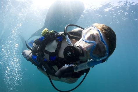 Open Water Diver Class Part 1 Academics And Pool Full Underwater