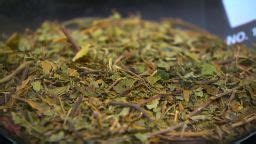 Kratom deaths: CDC study finds the drug was a cause in nearly 100