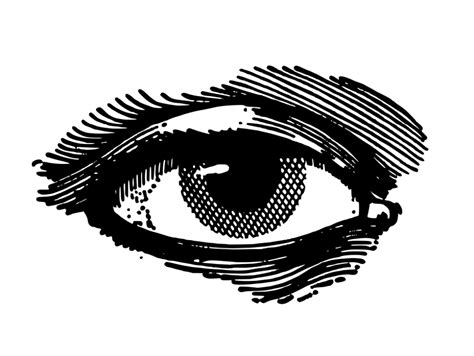 Hand Drawn Eye Vector Svg Png