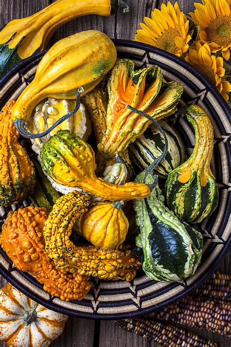 Colorful Gourds In Basket Photograph By Garry Gay