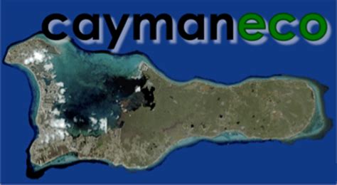I say go for it. Cayman Eco - Beyond Cayman How It Feels Living in a City That Will Soon Feel the Impacts of ...