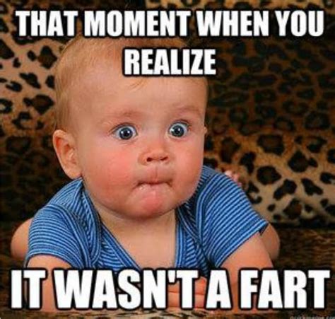 Funny Fart Memes Photos