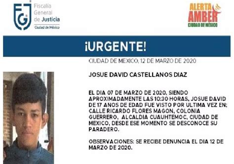 Brilla su sonrisa un poco más que ayer. Josué David tiene 17 años, desapareció en la colonia ...