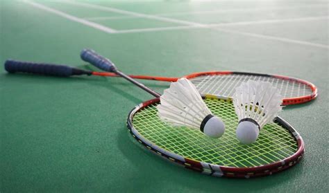 Badminton, court or lawn game played with lightweight rackets and a shuttlecock. AG Assam win East Zone IAAD Badminton Title - Sentinelassam