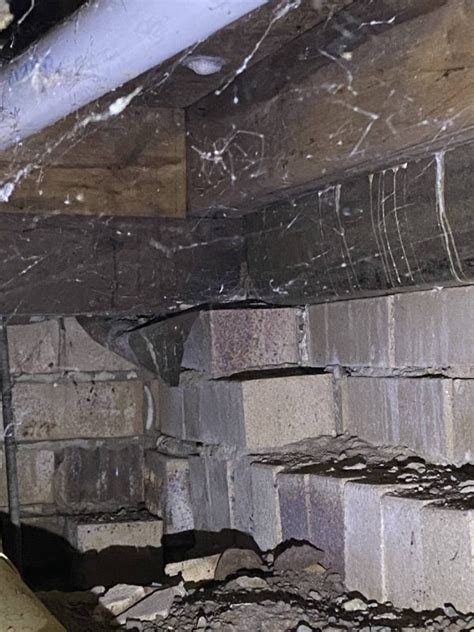 We're here to help you make an informed decision about your potential. Why getting a thorough Building and Pest Inspection is so ...