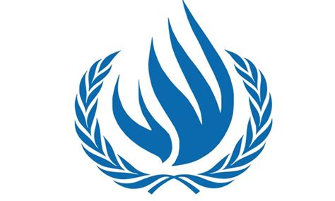 Contribuição para a Revisão Periódica Universal do Conselho de Direitos