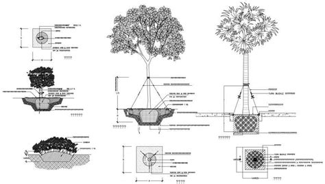 Drawing Of House Planting Details Autocad File Cadbull