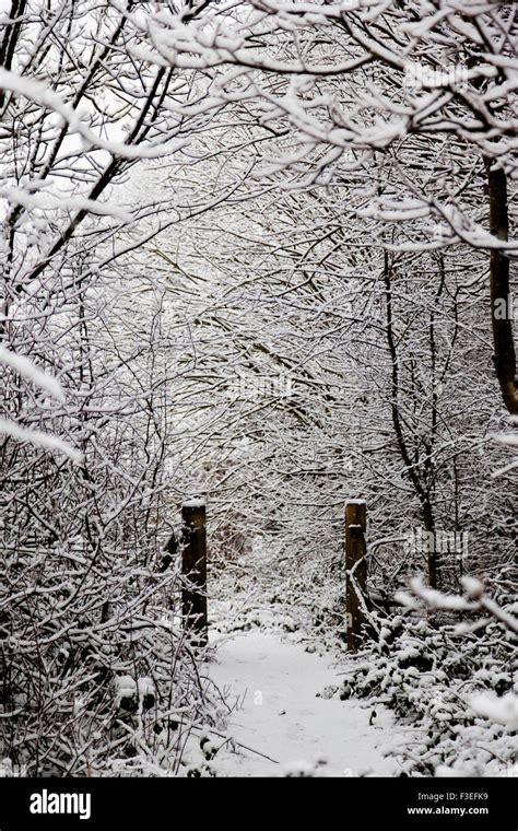 Gate In A Snow Scene In Yorkshire England Uk Stock Photo Alamy