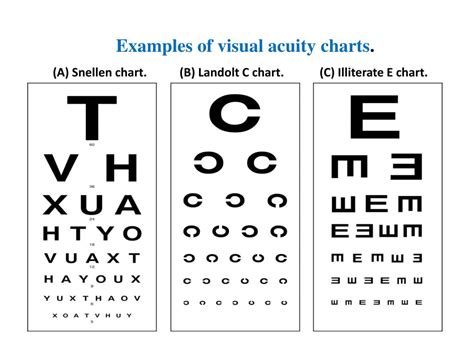 Ppt Visual System Examination Powerpoint Presentation Free Download