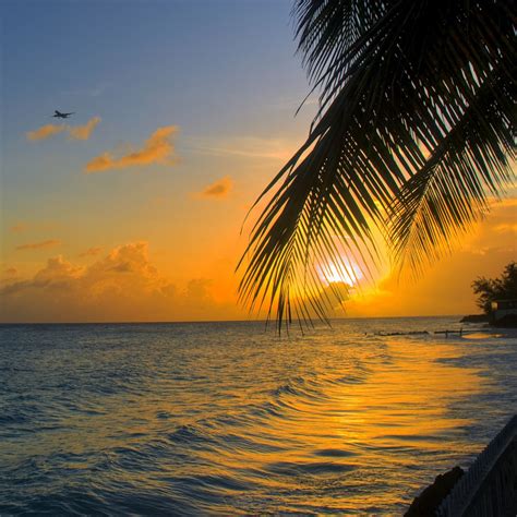 Download Wallpaper 1280x1280 Ocean Sunset Palm Beach