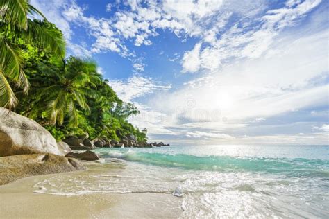Paradise Tropical Beach With Rockspalm Trees And Turquoise Water In