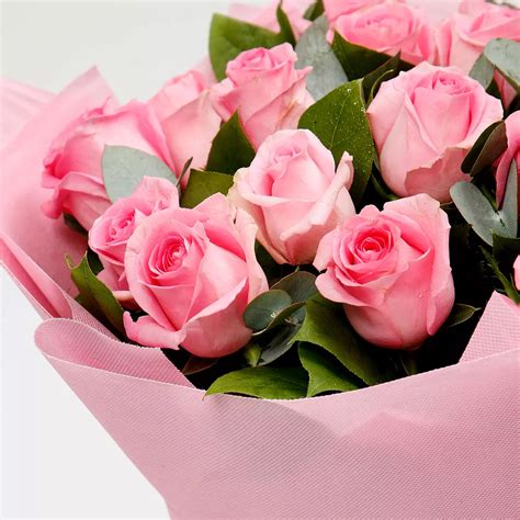 Online Ravishing Bouquet Of 20 Pink Roses T Delivery In Uae Ferns