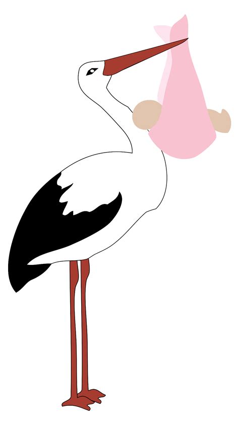 Stork Delivering Baby Girl Public Domain Vectors