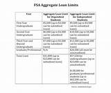 What Is Aggregate Loan Limit
