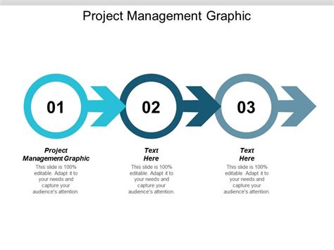 Project Management Graphic Ppt Powerpoint Presentation Slides Layout