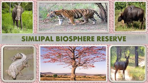 Simlipal Biosphere Reserve Learn Upsc
