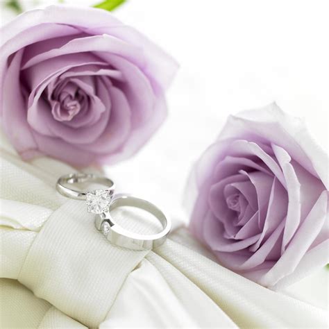May this love grow stronger and deeper through each passing day of your my dear daughter, congratulations on your wedding! Extremely Heartfelt and Cute Wedding Congratulations ...