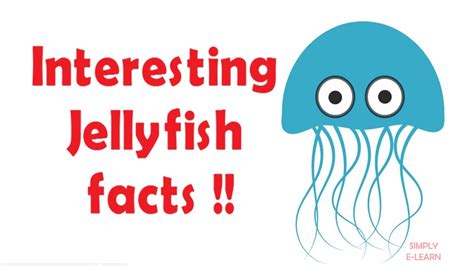 Jellyfish Facts For Kids Facts About Jellyfish For Kids Simply E