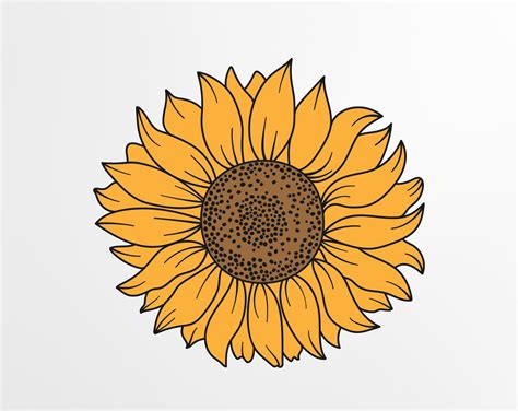 Sunflower Svg Files For Cricut Hand Drawn Floral Botanical Etsy