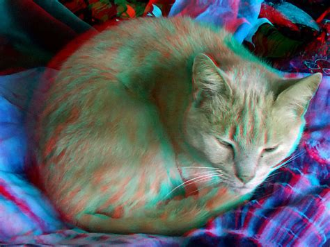 Animals In Anaglyph 3d Cat Red Blue Glasses To View A