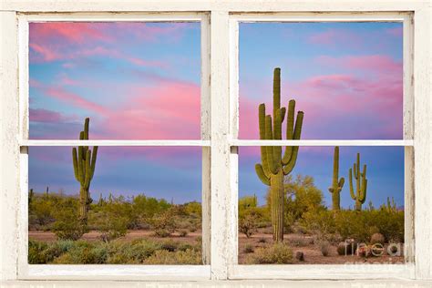 Colorful Southwest Desert Window Art View Photograph By James Bo Insogna