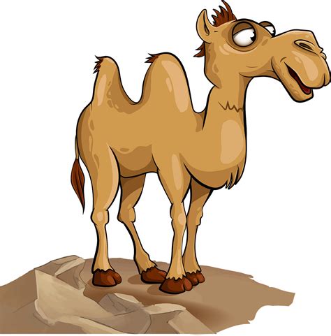 Download Camel, Animal, Livestock. Royalty-Free Vector Graphic - Pixabay