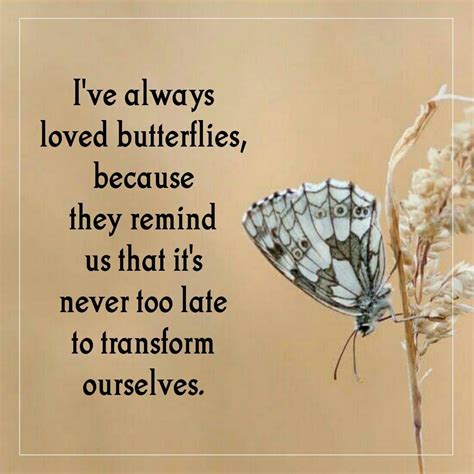 Its Never Too Late Butterfly Quotes Happiness Is A Choice Short Quotes