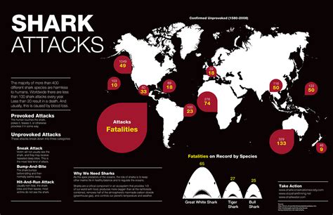 Shark Attack Infographic On Behance