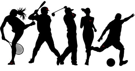 Free sport clipart icons in various ui design styles for web, mobile, and graphic design projects. Sports Equipment PNG Images Transparent Free Download ...