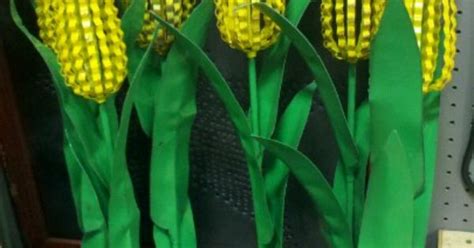 Corn Stalks For The Yard Just Corning Around Pinterest Corn