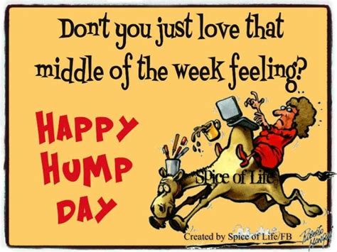 Dont You Just Love That Middle Of The Week Feeling Happy Hump Day Happy Wednesday Quotes