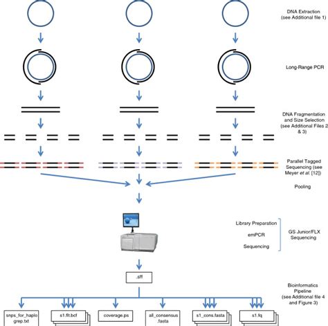 Overview Of The A To Z Method For High Throughput Dna Sequencing Of