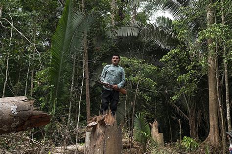 Pelo menos seis terras indígenas sofrem invasões e ameaças de