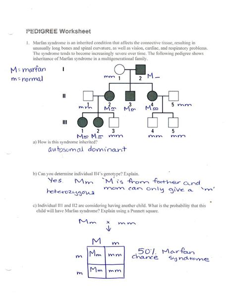 Genetics Practice Problems Simple Worksheet Human Pedigree Worksheet