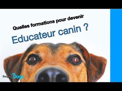 Devenir toiletteur canin est pour le moment plus une question de passion et d'expérience que de formation en toilettage, aucun diplôme officiel de toilettage n'étant reconnu par l'état. COMMENT DEVENIR EDUCATEUR CANIN - YouTube